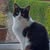 Lesley Cooke's avatar
