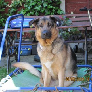 Anne Shepherd's avatar