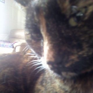 Colin Brown's avatar