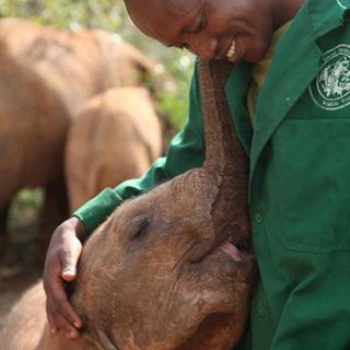 Jean Bradley's avatar