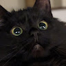Void Cat's avatar