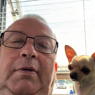 Paul Bowles's avatar