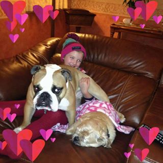 Melvyn Sloan's avatar