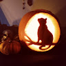 Amy Hughes's avatar