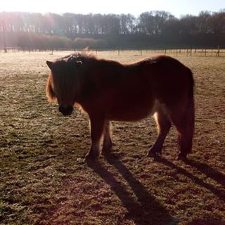 Rita Bundock's avatar