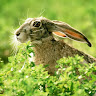 John Kay's avatar