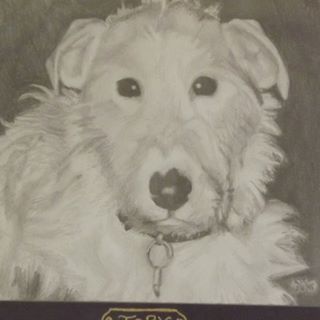 Diane Milburn's avatar