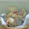Mandy Lawrence's avatar