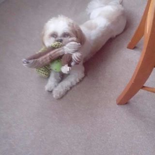 Jim Charlesworth's avatar