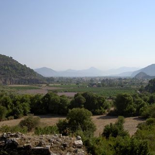 Carole Hassall's avatar