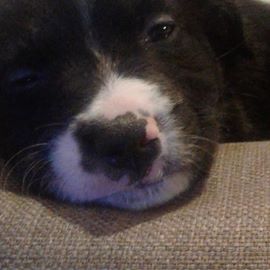 Nigel Black's avatar