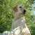 James Kibble's avatar