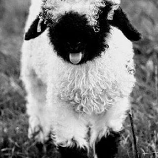 Stephanie Taylor's avatar