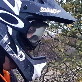 Andrzej Wachala's avatar