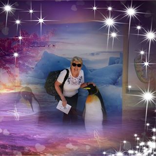 Patricia Greenwood's avatar