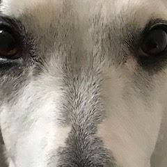 Alan Millar's avatar