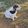 Diane Bugler's avatar