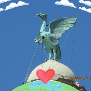 Jackie Wilkinson's avatar