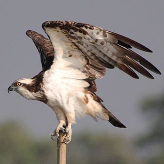 Barbara Oldham's avatar