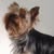Madeline Johnson's avatar