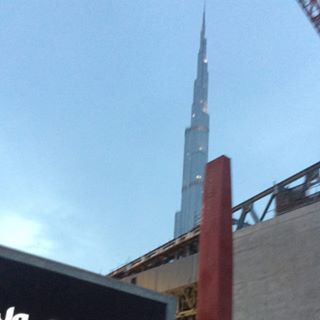 Elizabeth Birch's avatar