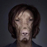 Anonymous's avatar