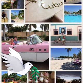 Ann Farrell's avatar