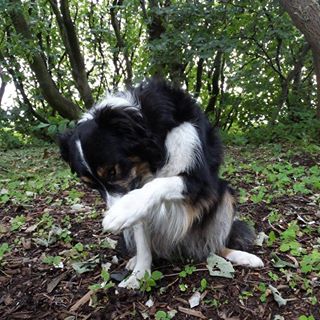 Linda Brown's avatar