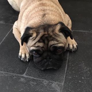 Jackie Dunbar's avatar