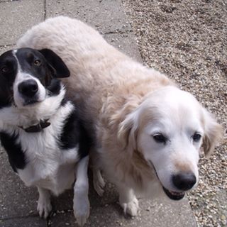 Helen Marsh's avatar