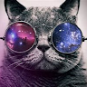 Tiggzzzy's avatar