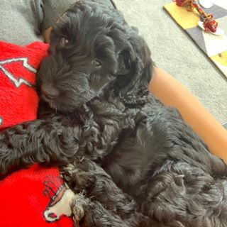 Rebecca Ann's avatar