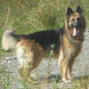 Ray Jackson's avatar