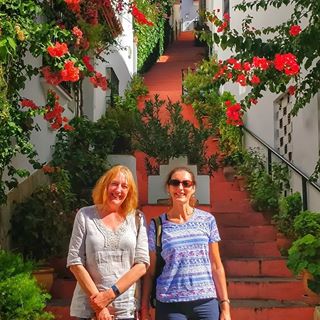 Alison Narayn's avatar