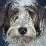 Glover Donna's avatar
