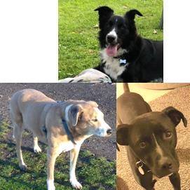 Joy Mike Smith's avatar