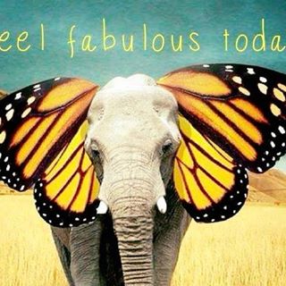 Linda Bowen's avatar