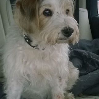 Christine Leeman's avatar