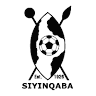 nkosi nyathi's avatar