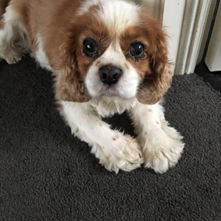 Patricia Hannon's avatar