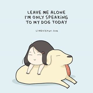 Ina Steinpark's avatar