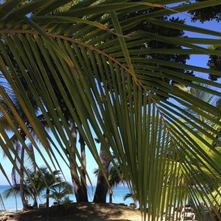 Elaine Davies's avatar