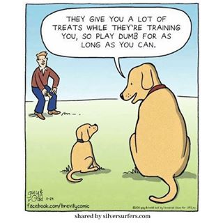 Sue Metcalfe's avatar