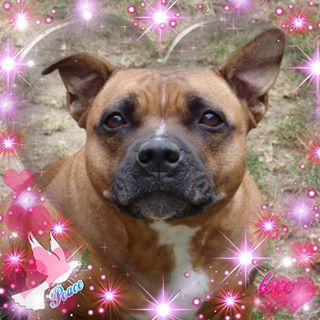 Jayne Hilsden's avatar