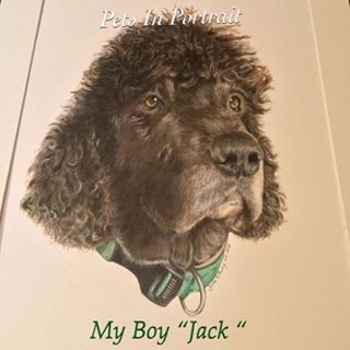 Carol Etheridge's avatar