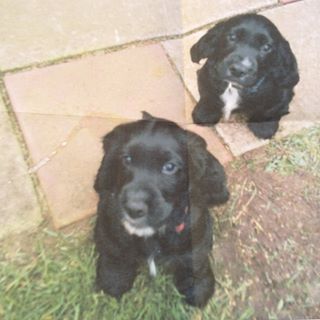 Joanna Wileman's avatar