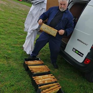 Michael Patrick Osullivan's avatar