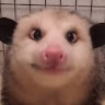 Kamil's avatar