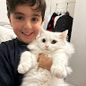 Elham Shamsi's avatar