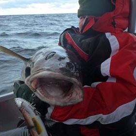 Keith Lawrence's avatar